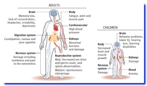 lead-health-effects1